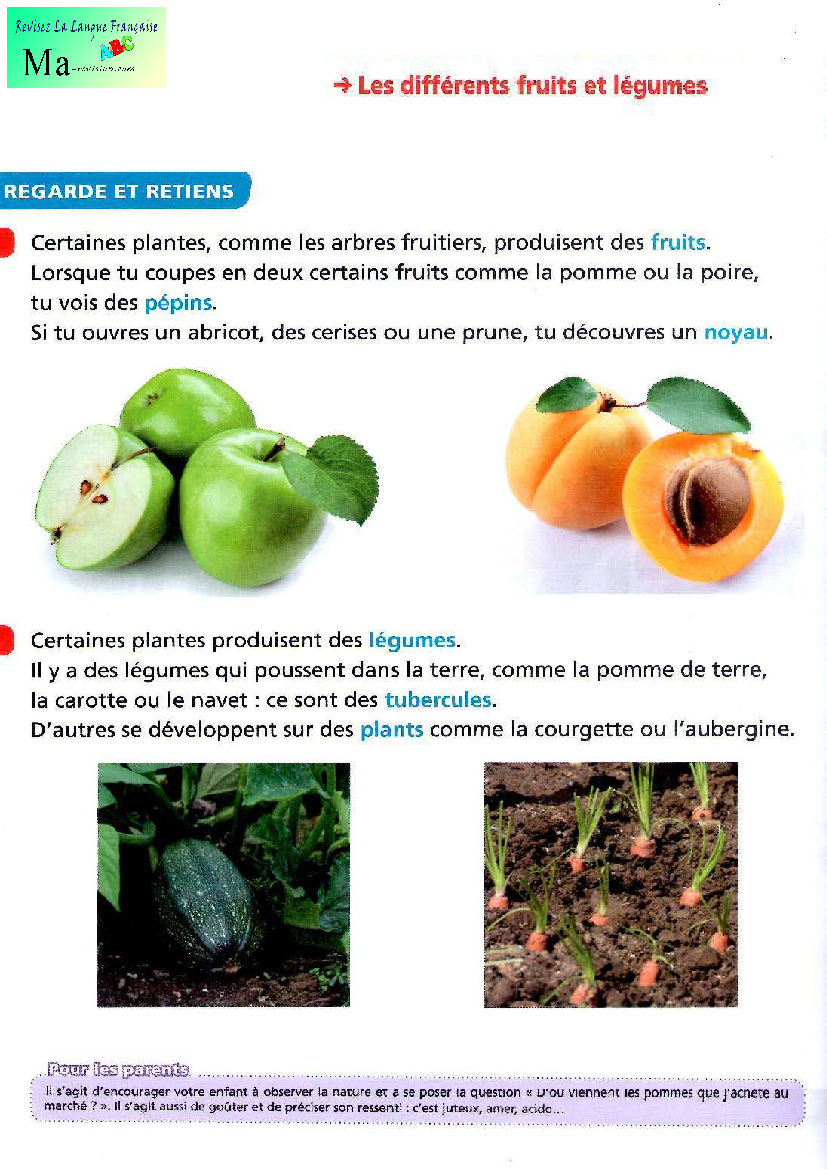 les-differents-fruits-et-legumes