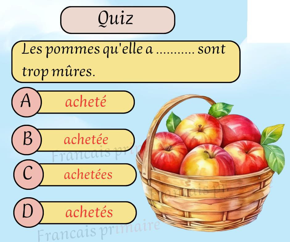 exercices_sur_pluriels_verbes_et_noms-conjugaison-ma-revision.com