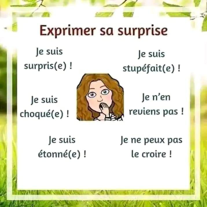 exprimer_la_joie_et_la_surprise-expression-ecrite-ma-revision.com