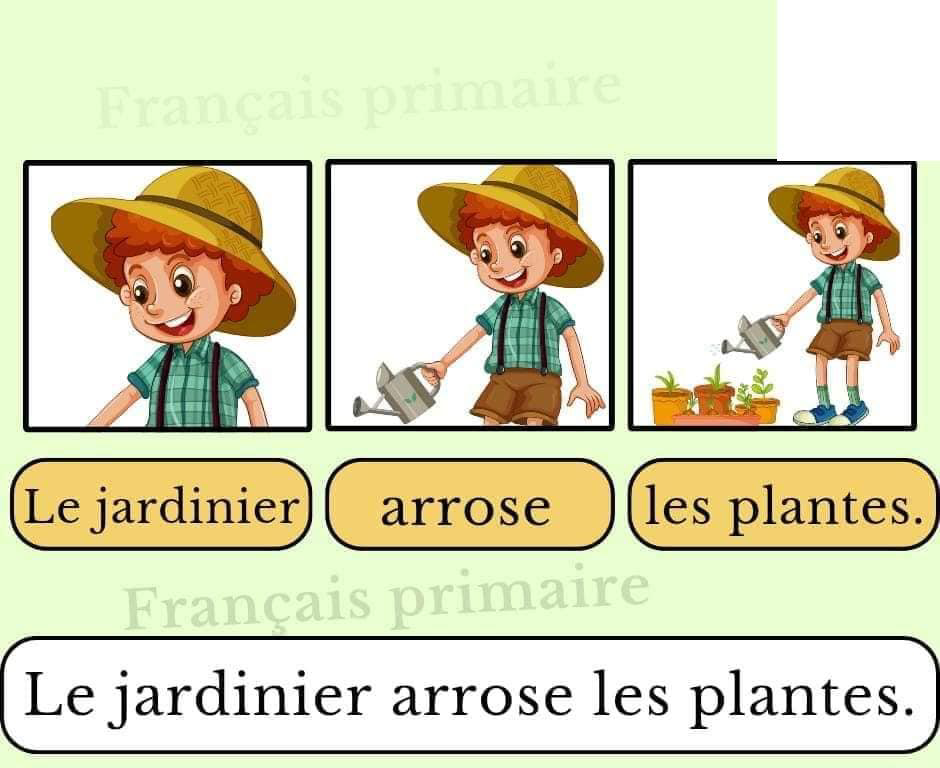 affichage_construire_une_phrase_image_classe_cp-grammaire-ma-revision.com