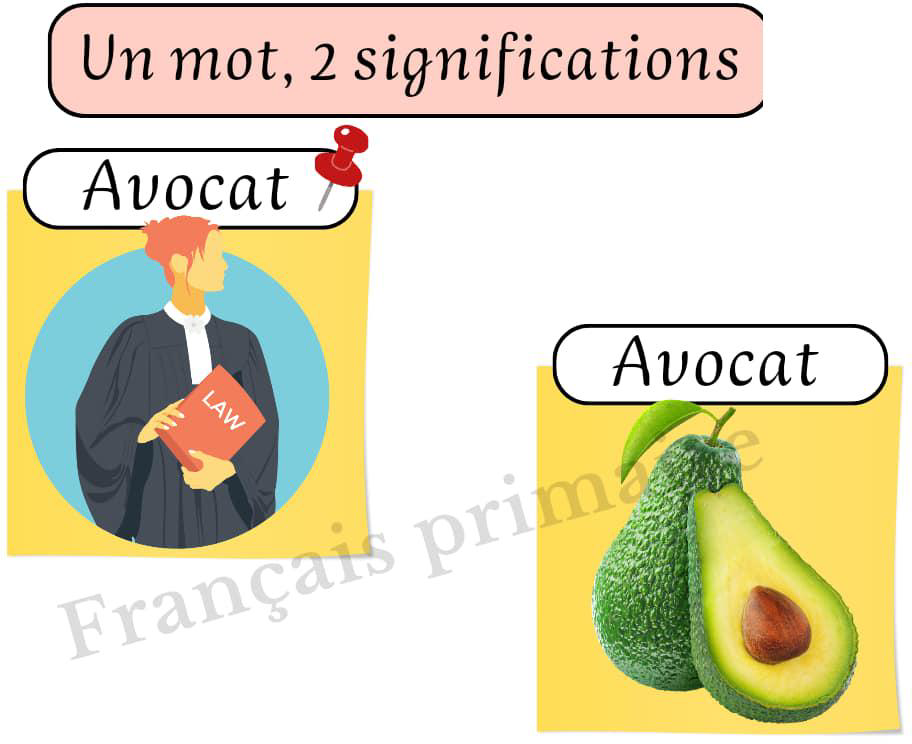 affichage_un_mot_de_deux_significations