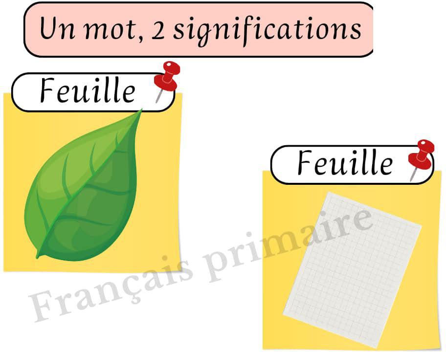 affichage_un_mot_de_deux_significations-grammaire-ma-revision.com