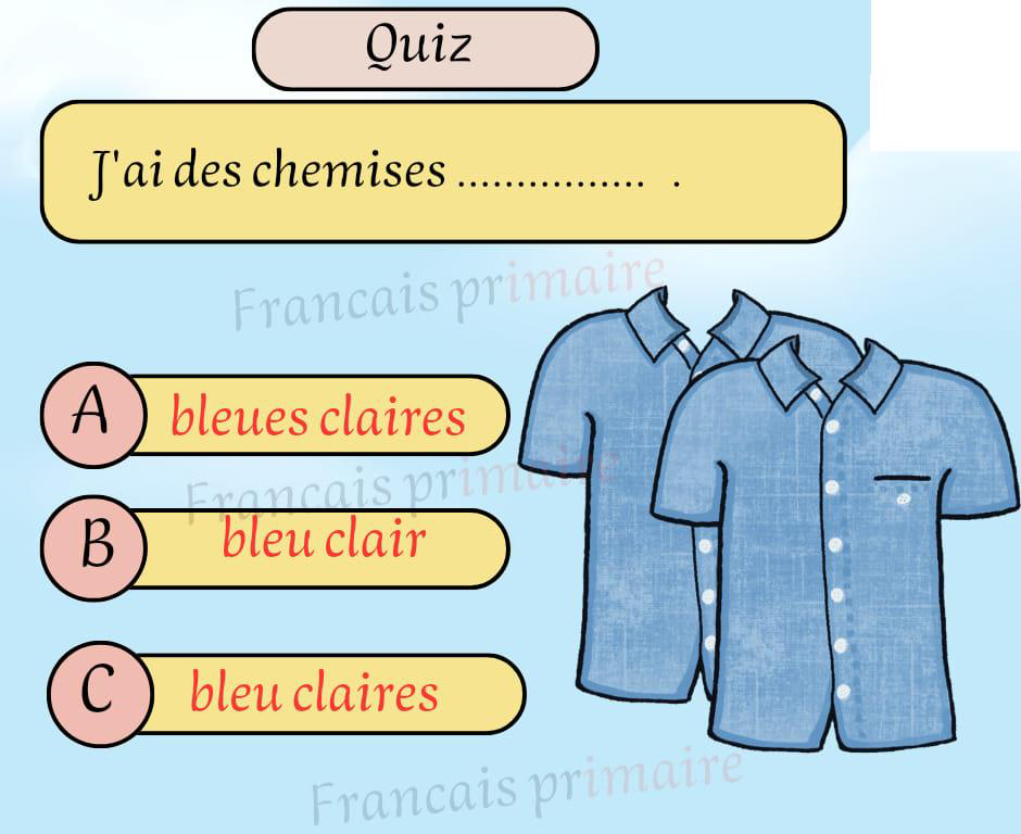 exercice_grammaire_genre_et_nombre_classe_ce-grammaire-ma-revision.com