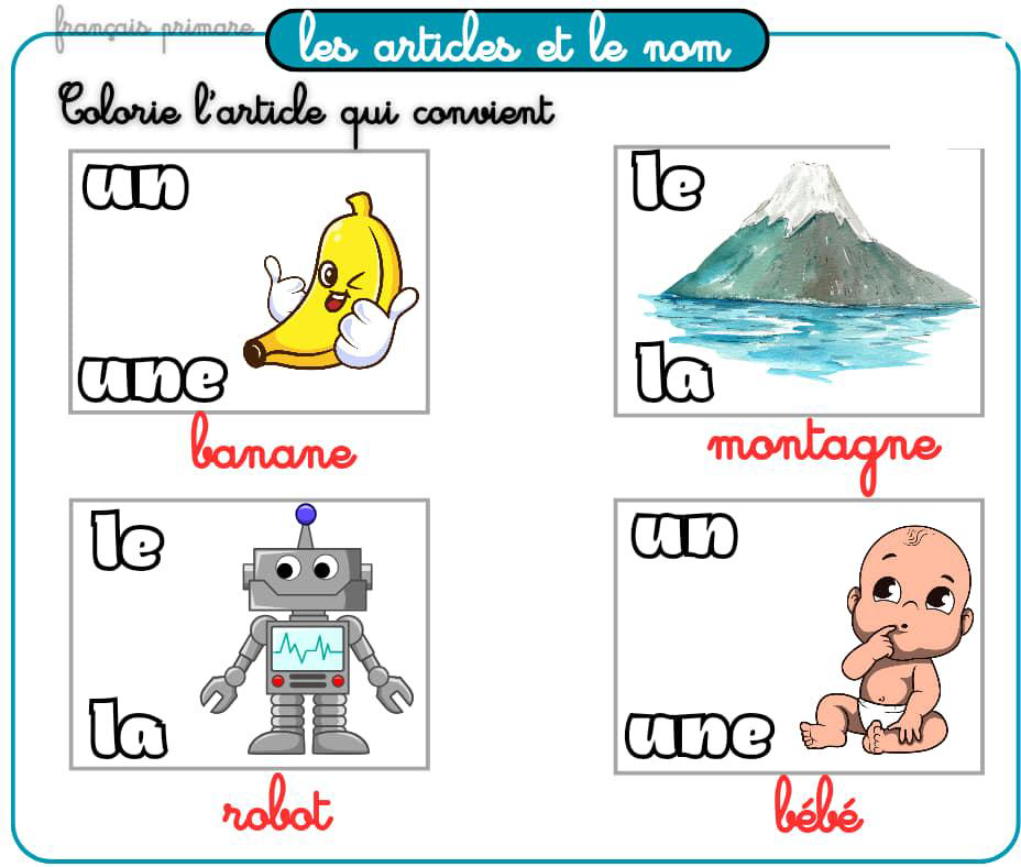 exercices_les_articles_et_le_nom-grammaire-ma-revision.com