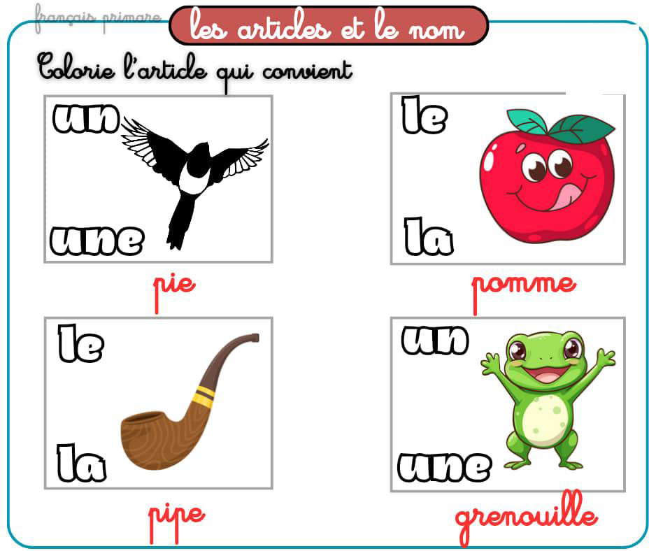 exercices_les_articles_et_le_nom-grammaire-ma-revision.com