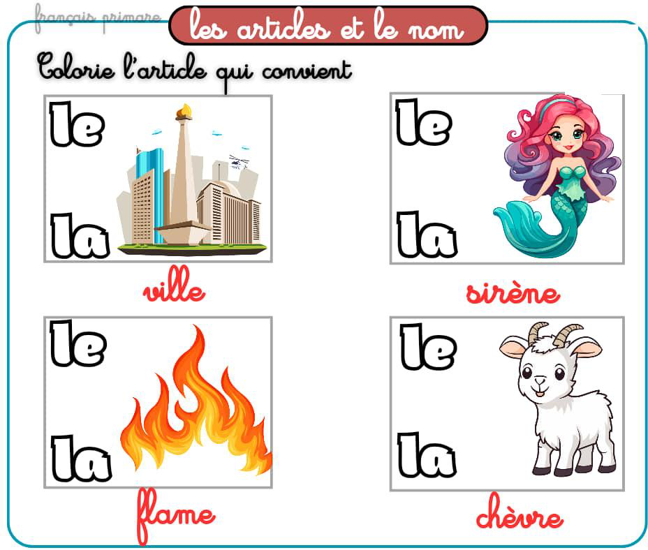 exercices_les_articles_et_le_nom-grammaire-ma-revision.com