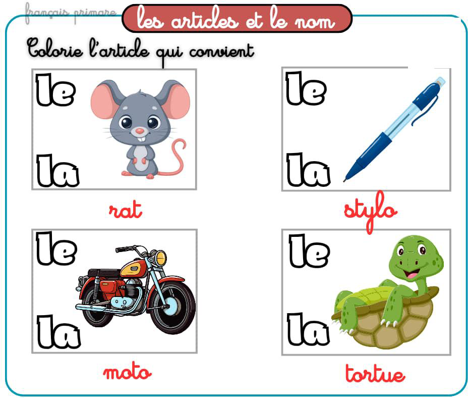 exercices_les_articles_et_le_nom-grammaire-ma-revision.com