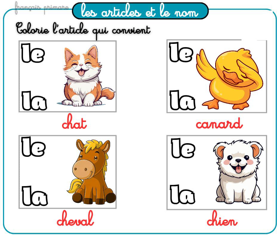 exercices_les_articles_et_le_nom-grammaire-ma-revision.com
