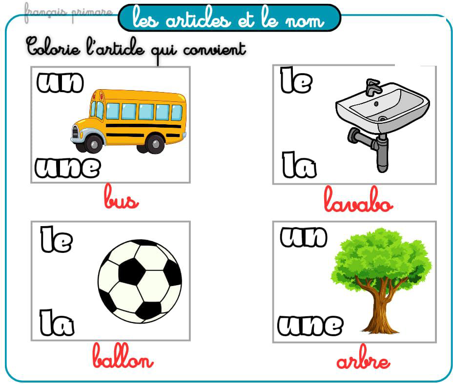 exercices_les_articles_et_le_nom-grammaire-ma-revision.com