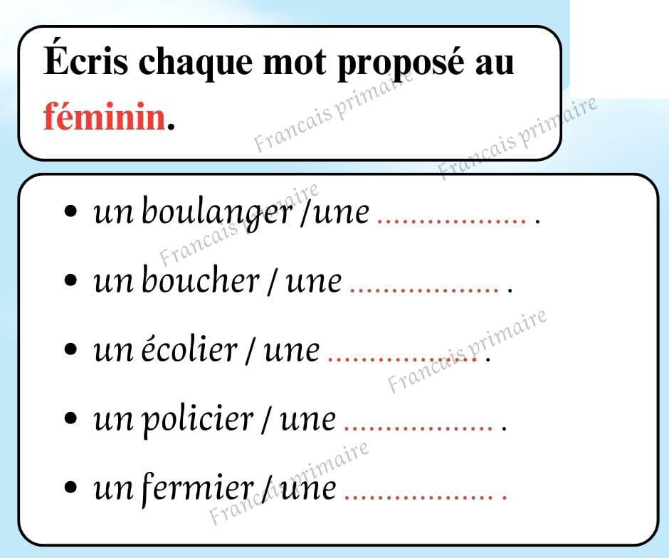 exercices_sur_les_feminins_et_les_masculins-grammaire-ma-revision.com