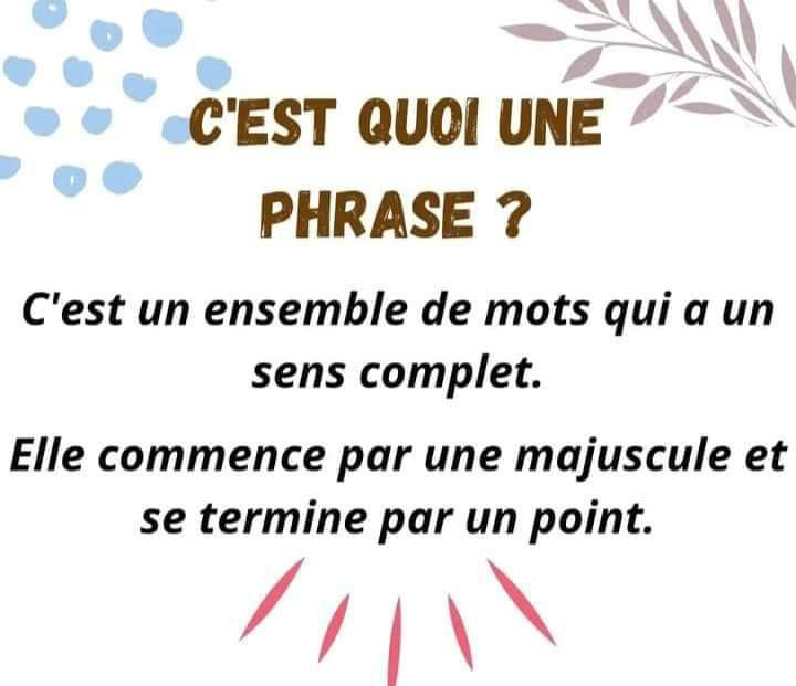 la_phrase_affirmative_et_la_phrase_negative-grammaire-ma-revision.com