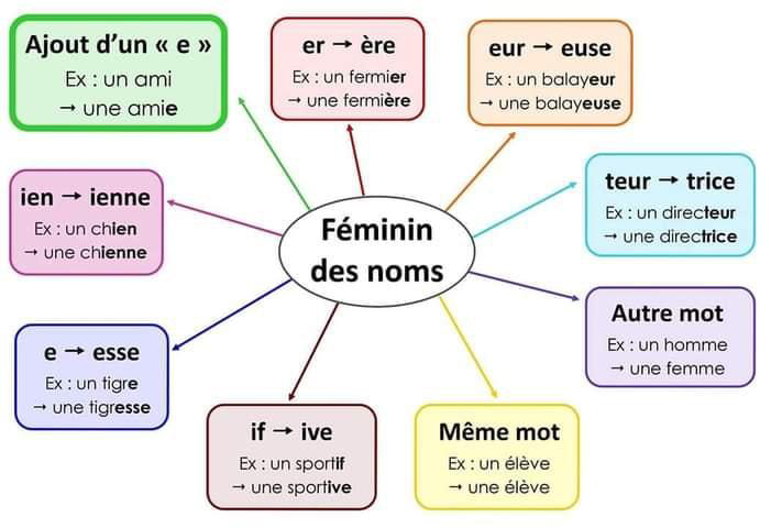 feminin_des_noms_feminin_des_adjectifs