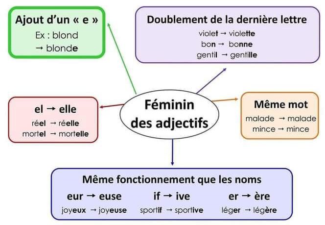 feminin_des_noms_feminin_des_adjectifs-orthographe-ma-revision.com