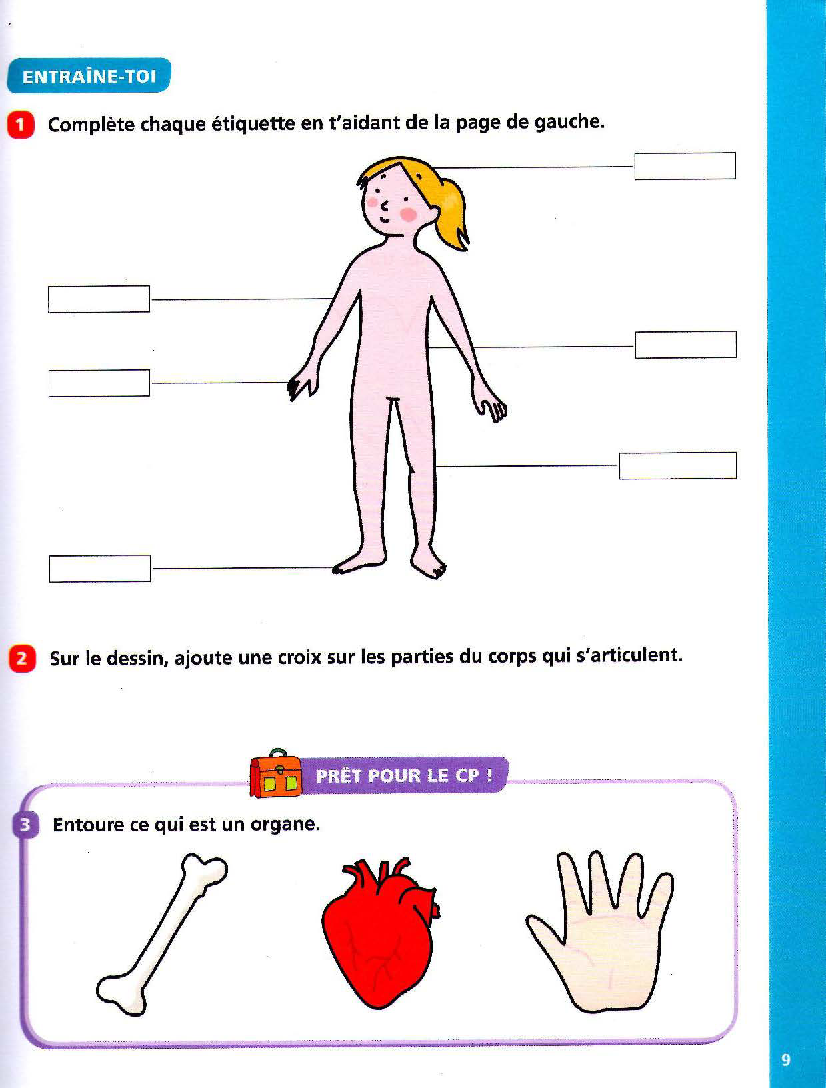  Foto zu 'ma-revision.com '3-le-corps-humain 