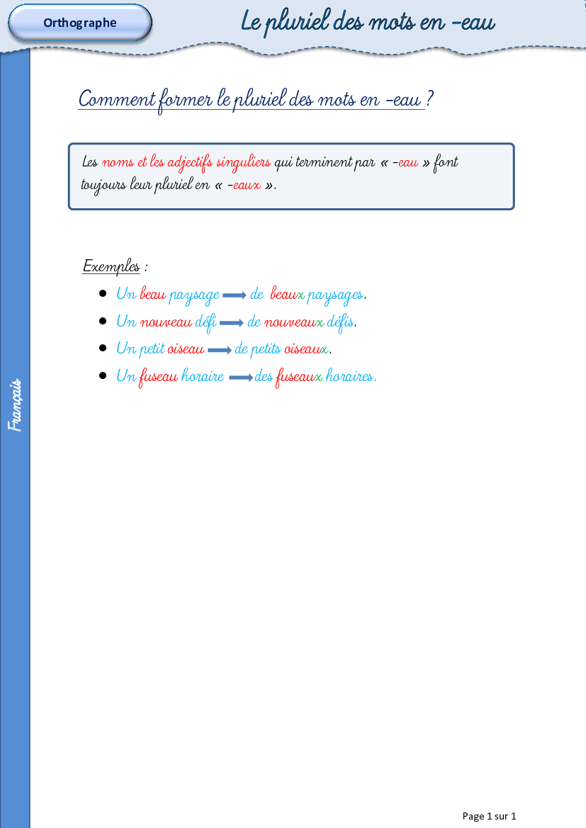 '8leconplurielnomsadjectifsenEAUorthographema